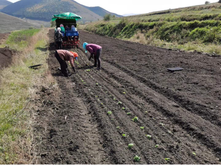 2020年国资奥运发展专项基金崇礼区特色产业协会金莲花项目信息公开2021-10-25536